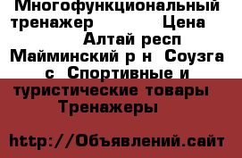 Многофункциональный тренажер Artlina › Цена ­ 8 000 - Алтай респ., Майминский р-н, Соузга с. Спортивные и туристические товары » Тренажеры   